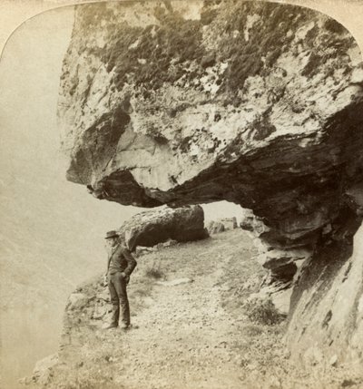 Naeroyfjord, Sogne, नॉर्वे को देखने वाली चट्टान पर आदमी। द्वारा बर्ट अंडरवुड