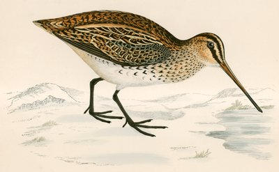 ठीक गोली चलाना द्वारा Beverley R. Morris
