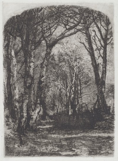 वुड्स [बोस्को], सी.1895। द्वारा बियांची मोसे