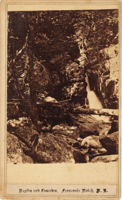 रैपिड्स एंड कैस्केड्स, फ्रेंकोनिया नॉच, न्यू हैम्पशायर, 1860। द्वारा बियरस्टेड ब्रदर्स