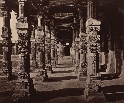  द्वारा बॉर्न और शेफर्ड