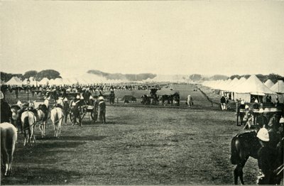 जनवरी 1877, 1901 में इंपीरियल असेंबलेज में वाइसराय कैंप। द्वारा बॉर्न और शेफर्ड