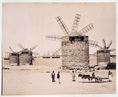 मौलिन्स ए अलेक्जेंड्रिया - 19वीं सदी के अंत में जांगली बंधुओं द्वारा फोटोग्राफी द्वारा भाई झंगकी