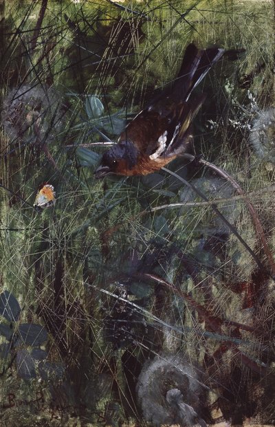  द्वारा ब्रूनो एंड्रियास लिलजेफर्स