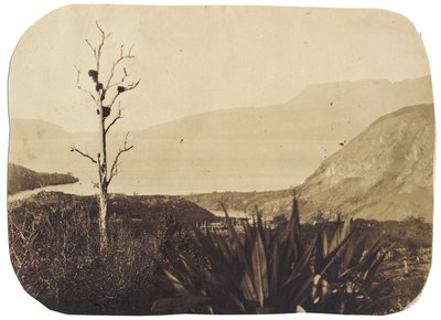 वरोआ से झील और माउंट तरावरा, 1860 (एल्बम प्रिंट द्वारा ब्रूनो हैमेल