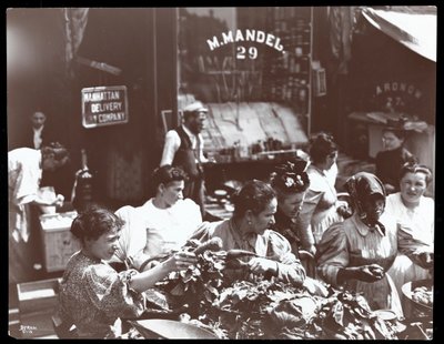 हेस्टर स्ट्रीट, न्यू यॉर्क, 1898 (सिल्वर जिलेटिन प्रिंट) पर एक पेडलर से सब्जियों की खरीदारी करने वाली महिलाओं का दृश्य द्वारा Byron Company