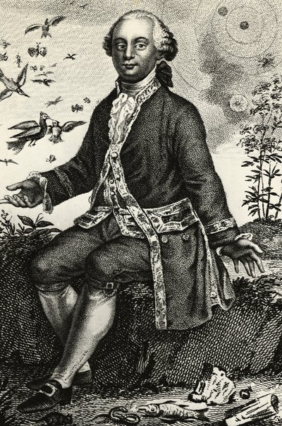 जॉर्जेस-लुई लेक्लेर डी बफन (1707-1788) का पोर्ट्रेट, फ्रांसीसी प्रकृतिवादी और गणितज्ञ, उत्कीर्णन द्वारा जेबी और ब्राउन जे। और रोबोथम