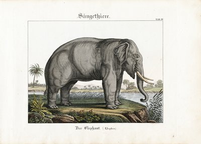 द्वारा 