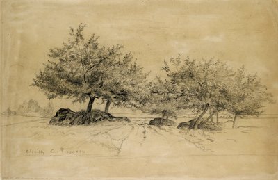 चैली, c1859 द्वारा केमिली पिसारो
