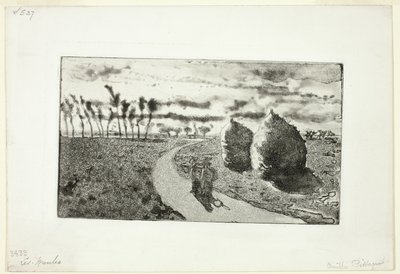  द्वारा केमिली पिसारो