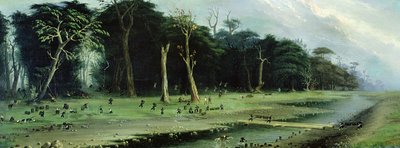  द्वारा कैंडिडो लोपेज