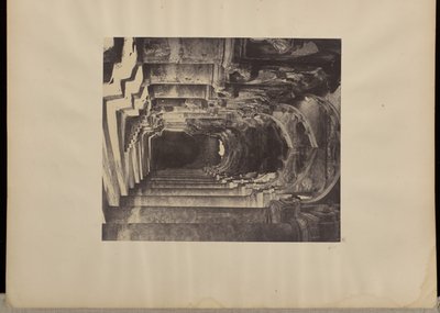  द्वारा कैप्टन लिनियस ट्रिप