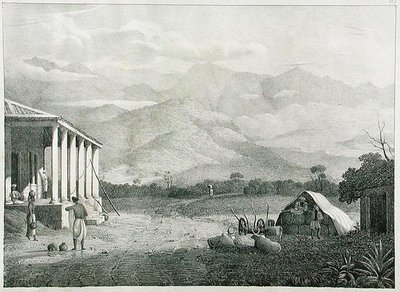 1830 में प्रकाशित कैप्टन मैककुरडी द्वारा नीलगिरि, या कोइम्बेटूर के ब्लू पर्वत, दक्षिण भारत के सेरेमियोजी या स्ट्रेमोयोगी, दर्रा, नीलगिरी पर्वत, प्लेट 1 द्वारा मैकक्रेडी के बाद कप्तान ईए
