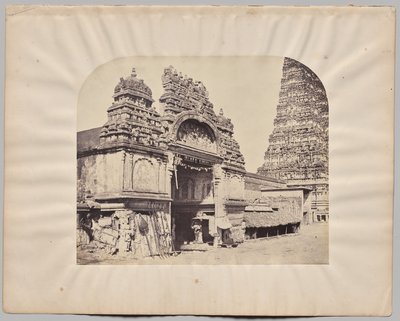  द्वारा कैप्टन लिनिअस ट्रिपे