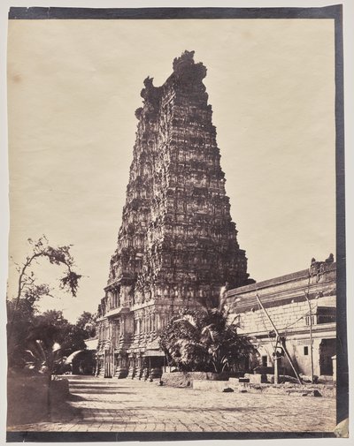  द्वारा कैप्टन लिनिअस ट्रिपे