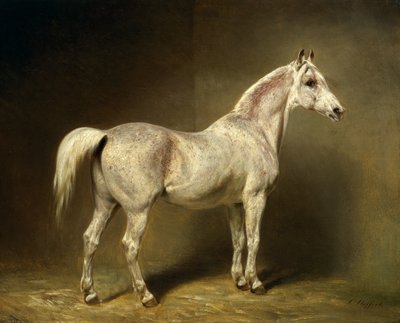 हेल्मथ काउंट वॉन मोल्टके, 1855 की सफेद अरबी काठी &39;बीट्राइस&39; द्वारा Carl Constantin Steffeck