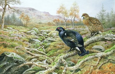 एक मूर पर काले गर्व द्वारा कार्ल डोनर