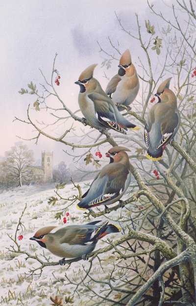 Waxwings द्वारा कार्ल डोनर