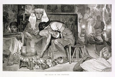 द डेथ ऑफ द फर्स्टबॉर्न, 19 वीं शताब्दी (कागज पर उत्कीर्णन) द्वारा कार्ल फ्रेडरिक हेनरिक वर्नर