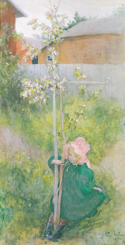 Appleblossom, 1894 द्वारा Carl Larsson