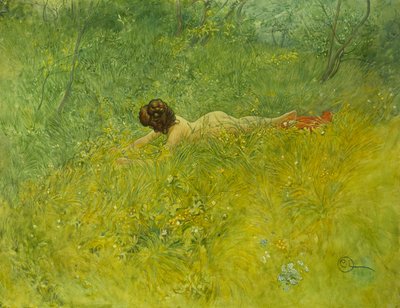 घास पर; आई ग्रोंग्रासेट, 1902 द्वारा कार्ल लार्सन