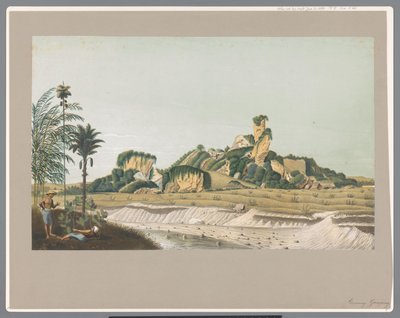  द्वारा रॉयल डच स्टीनड्रुकरिज वैन सीडब्ल्यू मिलिंग (संभवतः)