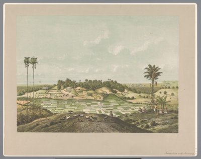  द्वारा रॉयल डच स्टीनड्रुकरिज वैन सीडब्ल्यू मिलिंग (संभवतः)