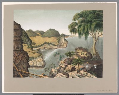  द्वारा रॉयल डच स्टीनड्रुकरिज वैन सीडब्ल्यू मिलिंग (संभवतः)