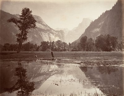 द डोम्स, योसेमाइट, सीए। 1872, मुद्रित सीए। 1876. द्वारा कार्लटन ई. वॉटकिंस।