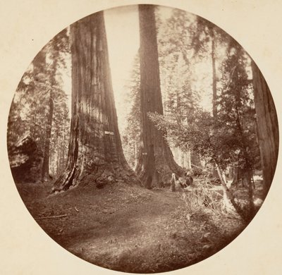 ओल्ड डोमिनियम और अंकल टॉम का टैवर्न। कैलावरस ग्रोव, सीए। 1878. द्वारा कार्लटन एम्मन्स वॉटकिंस