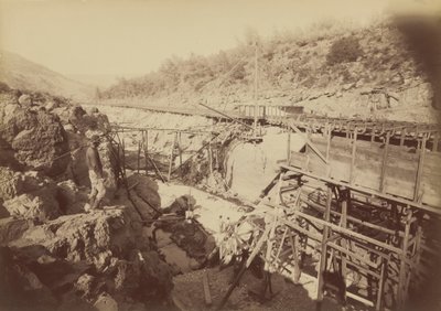  द्वारा कार्लटन एम्मन्स वॉटकिंस