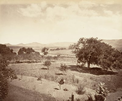 स्टील्स रेंच, सैन लुइस ओबिस्पो, 1876, सीए मुद्रित। 1876. द्वारा कार्लटन एम्मन्स वॉटकिंस