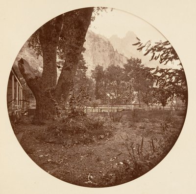 [योसेमाइट नेशनल पार्क, कैलिफ़ोर्निया], सीए। 1878. द्वारा कार्लटन एम्मन्स वॉटकिंस