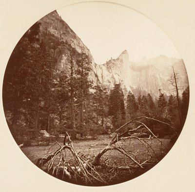 [योसेमाइट नेशनल पार्क, कैलिफ़ोर्निया], सीए। 1878. द्वारा कार्लटन एम्मन्स वॉटकिंस