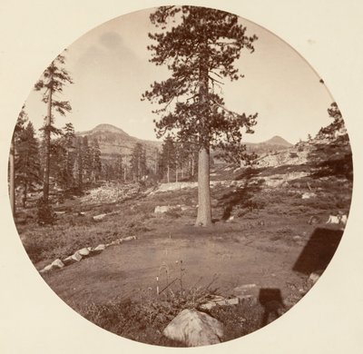 [योसेमाइट नेशनल पार्क, कैलिफ़ोर्निया], सीए। 1878. द्वारा कार्लटन एम्मन्स वॉटकिंस