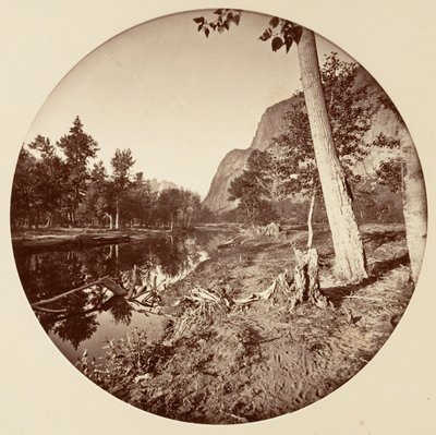 [योसेमाइट नेशनल पार्क, कैलिफ़ोर्निया], सीए। 1878. द्वारा कार्लटन एम्मन्स वॉटकिंस