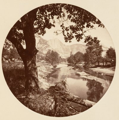 [योसेमाइट नेशनल पार्क, कैलिफ़ोर्निया], सीए। 1878. द्वारा कार्लटन एम्मन्स वॉटकिंस