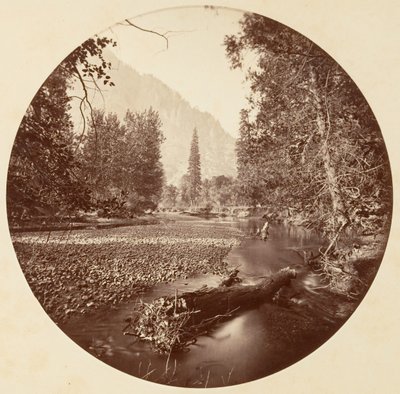 [योसेमाइट नेशनल पार्क, कैलिफ़ोर्निया], सीए। 1878. द्वारा कार्लटन एम्मन्स वॉटकिंस