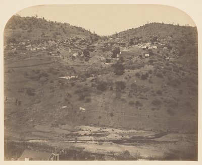  द्वारा कार्लटन वॉटकिंस