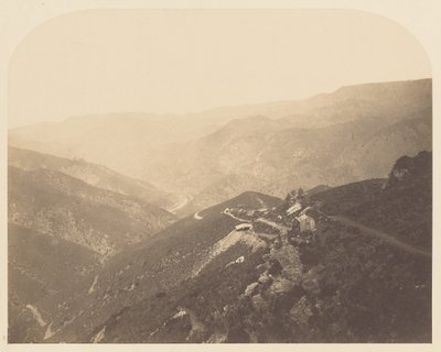  द्वारा कार्लटन वॉटकिंस