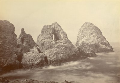  द्वारा कार्लटन वॉटकिंस