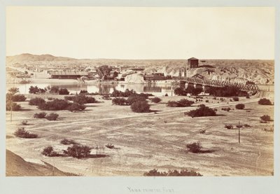  द्वारा कार्लटन वॉटकिंस