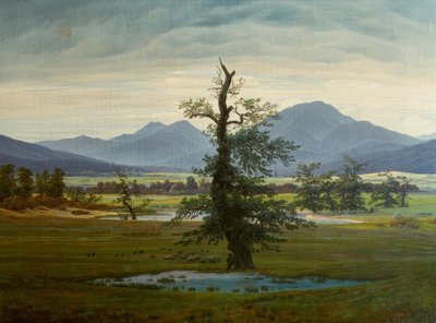 सुबह की रोशनी में गाँव का परिदृश्य द्वारा Caspar David Friedrich