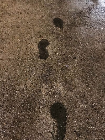  द्वारा सेसिल जेमेट