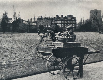केव गार्डन में आलू, 1941 द्वारा सेसिल बीटन