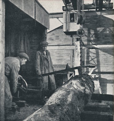 सेविंग लकड़ी, 1941 द्वारा सेसिल बीटन