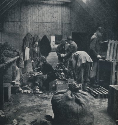 बाजार के लिए सब्जियां, 1941 द्वारा सेसिल बीटन