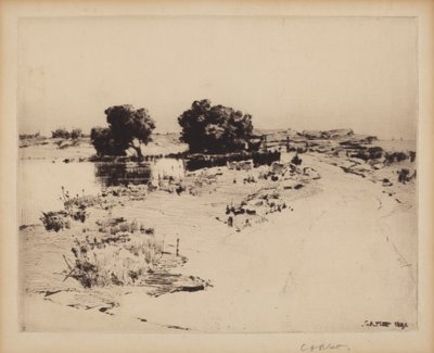 केप एन विलो द्वारा चार्ल्स ए. प्लैटा