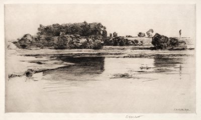 द चार्ल्स नदी, 1890। द्वारा चार्ल्स एडम्स प्लाट