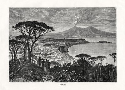 नेपल्स, इटली, 1879 द्वारा चार्ल्स बार्बेंट
